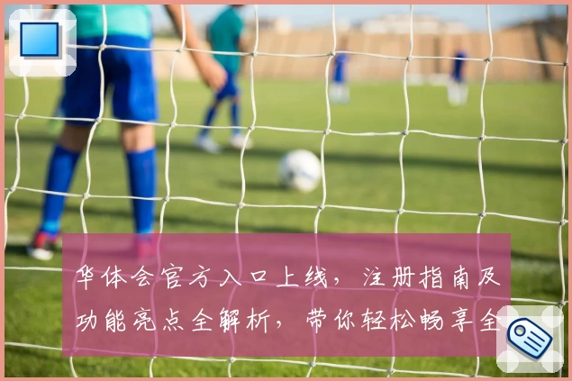 华体会官方入口上线，注册指南及功能亮点全解析，带你轻松畅享全新体验